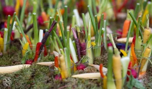 Green wedding: i nostri consigli per nozze sostenibili