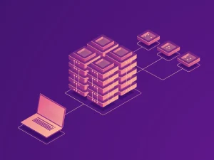 The Digital Stack by Maturity Level: What You Actually Need, Depending on Who You Are.